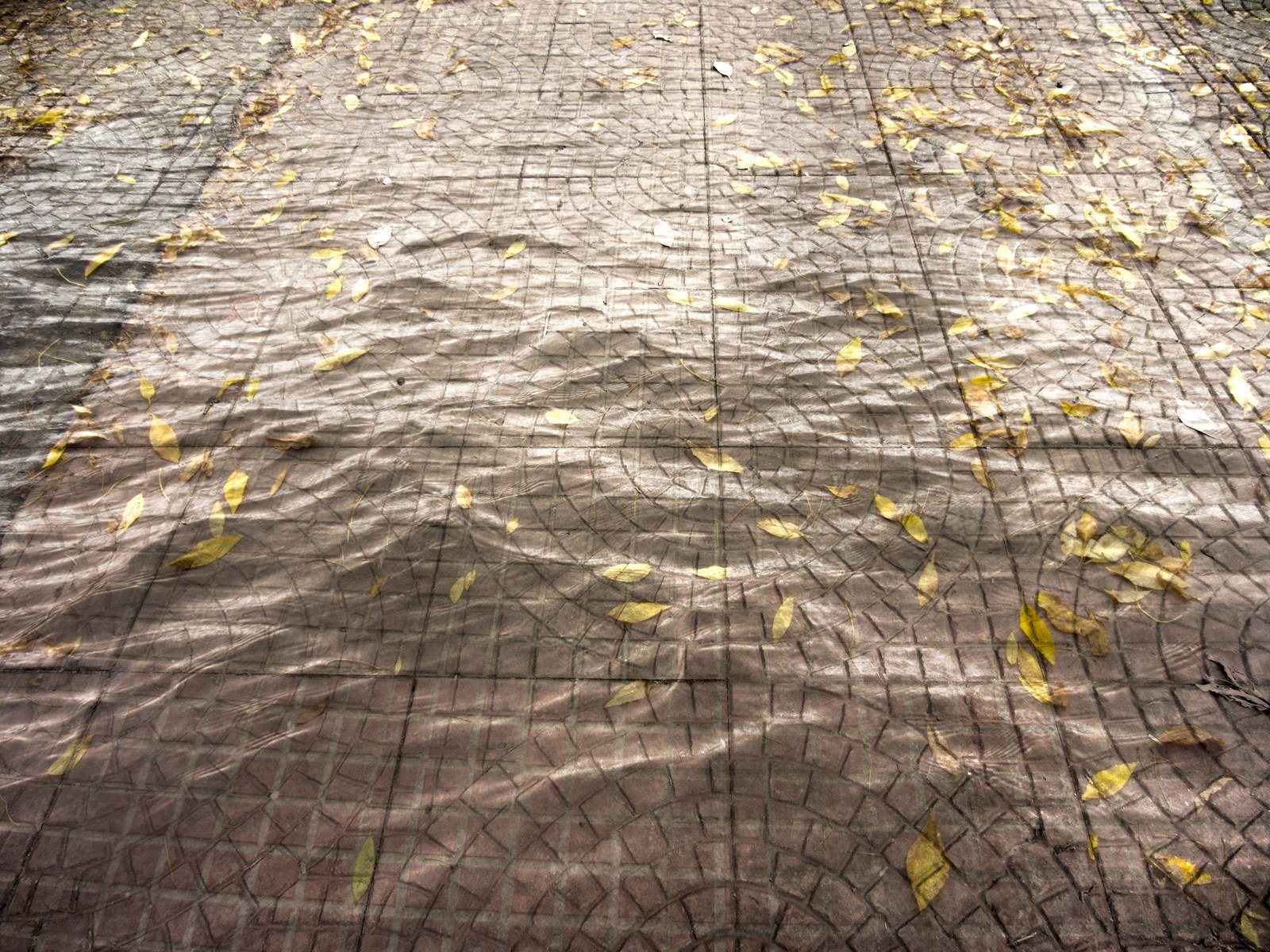 Fusiones fotográficas · Fotografía experimental · fotografía 4