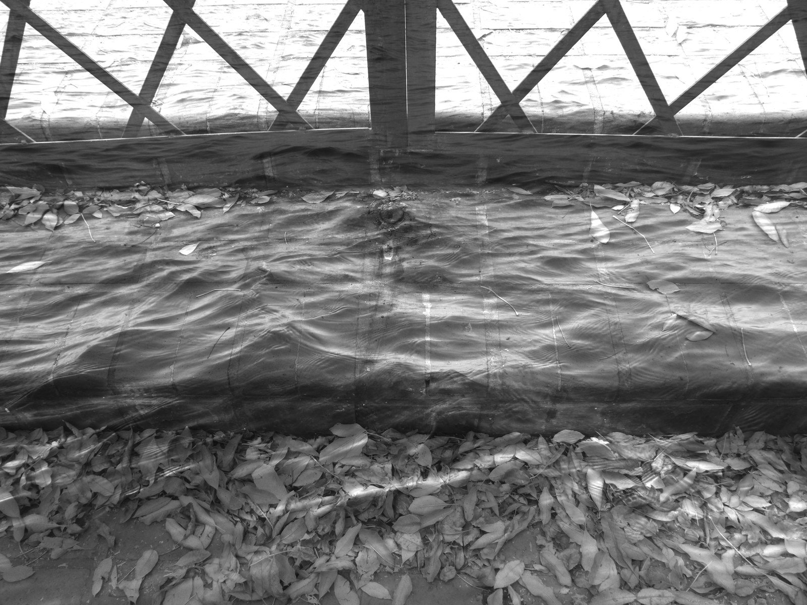 Fusiones fotográficas · Fotografía experimental · fotografía 3