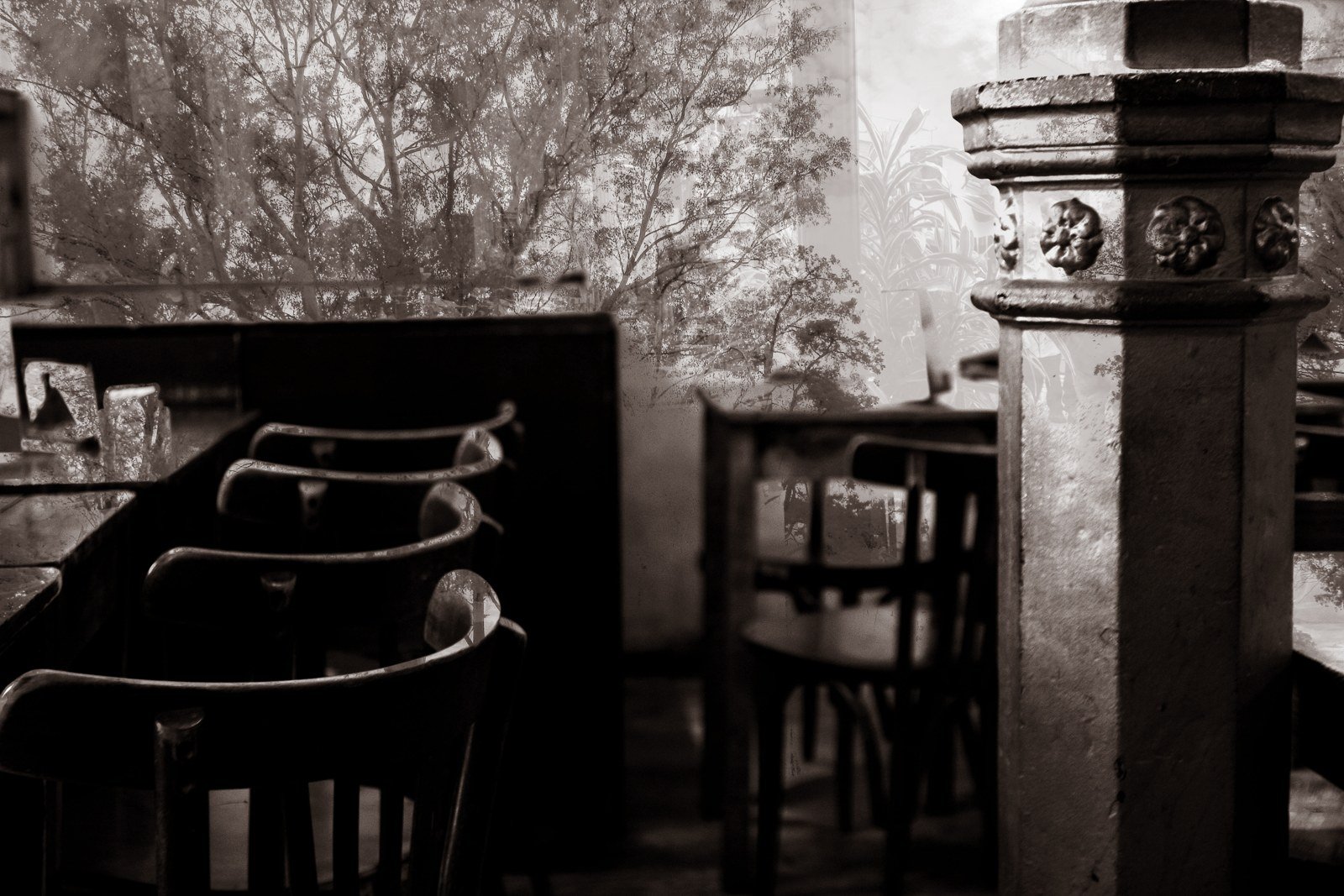Fusiones fotográficas · Fotografía experimental · fotografía 5